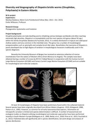 Diversity and Biogeography of Diopatra Bristle Worms (Onuphidae, Polychaeta) in Eastern Atlantic