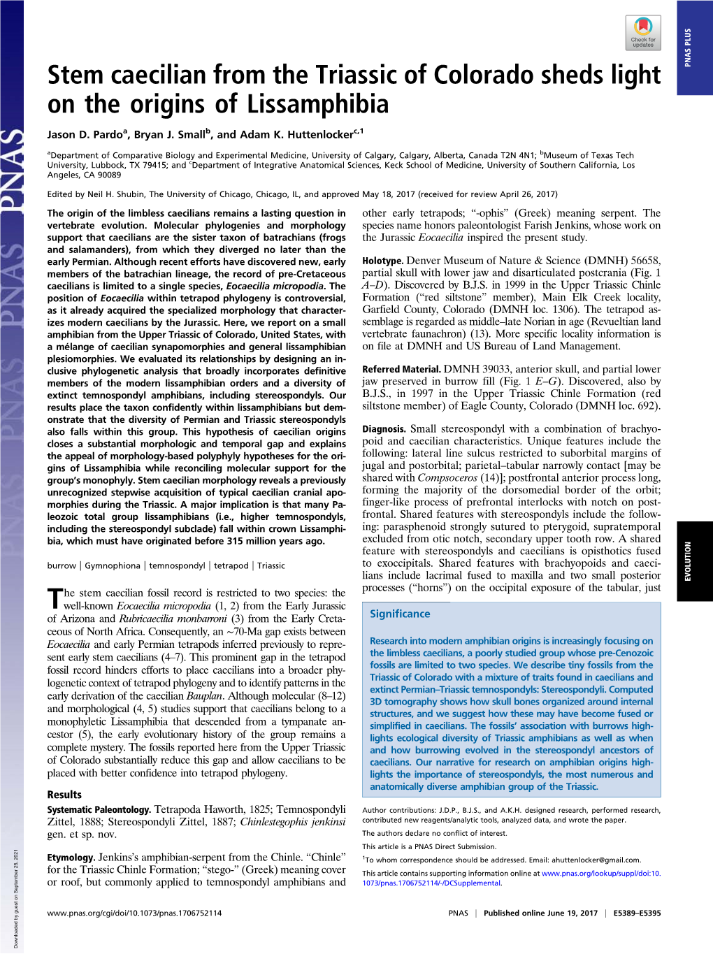 Stem Caecilian from the Triassic of Colorado Sheds Light on the Origins of Lissamphibia