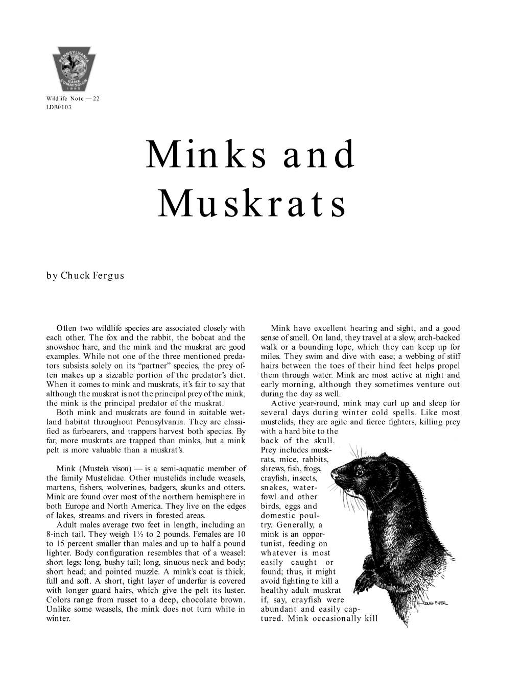 Mink and Muskrats