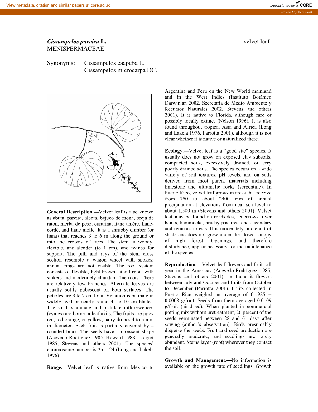 Cissampelos Pareira L. Velvet Leaf MENISPERMACEAE Synonyms