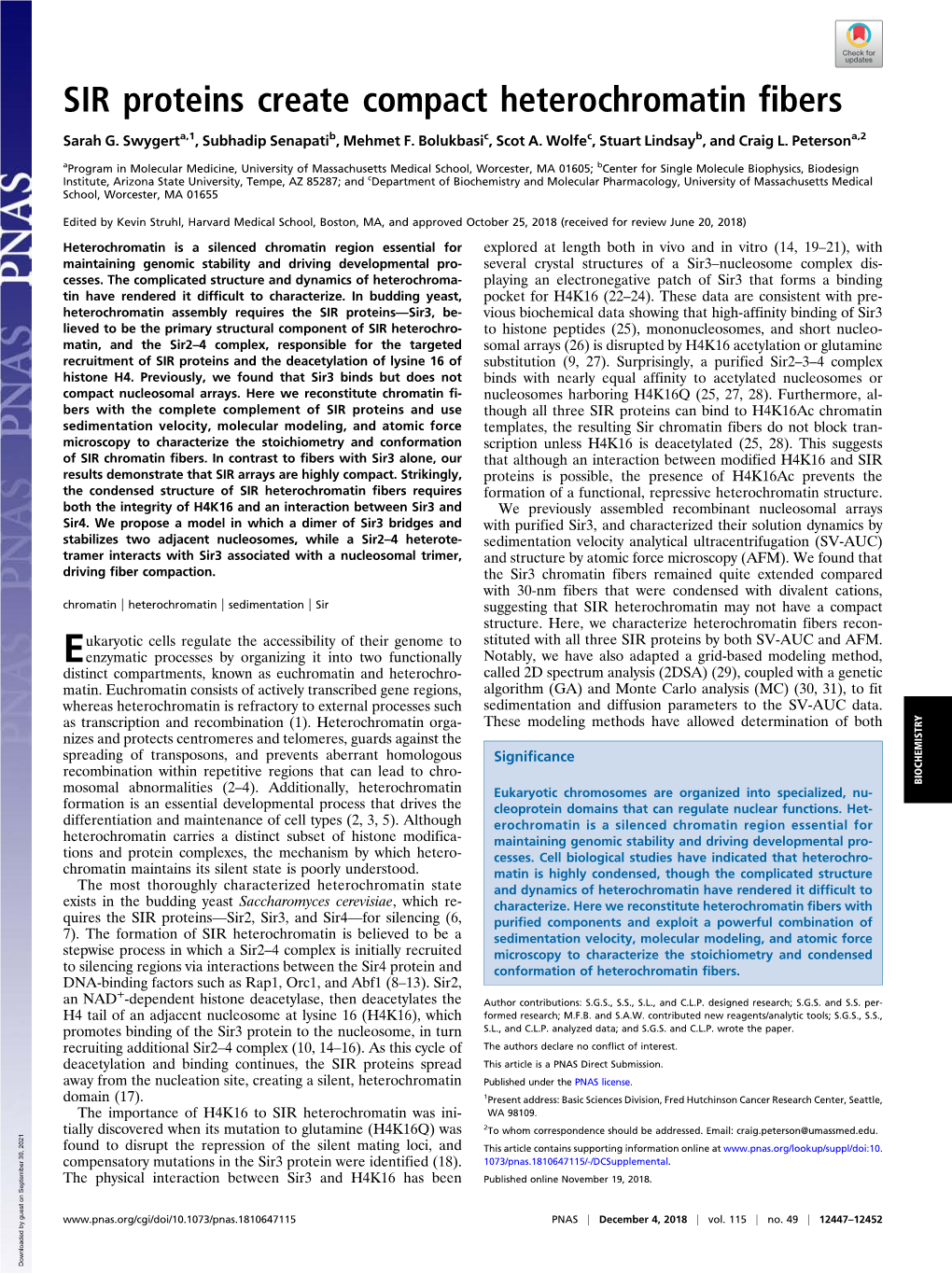 SIR Proteins Create Compact Heterochromatin Fibers