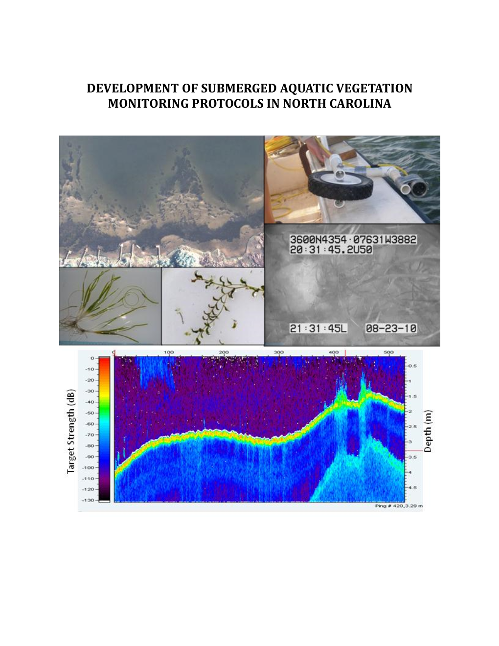 Development of Submerged Aquatic Vegetation Monitoring Protocols in North Carolina