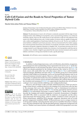 Cell–Cell Fusion and the Roads to Novel Properties of Tumor Hybrid Cells