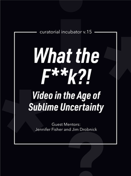 What the F**K?! Video in the Age of Sublime Uncertainty