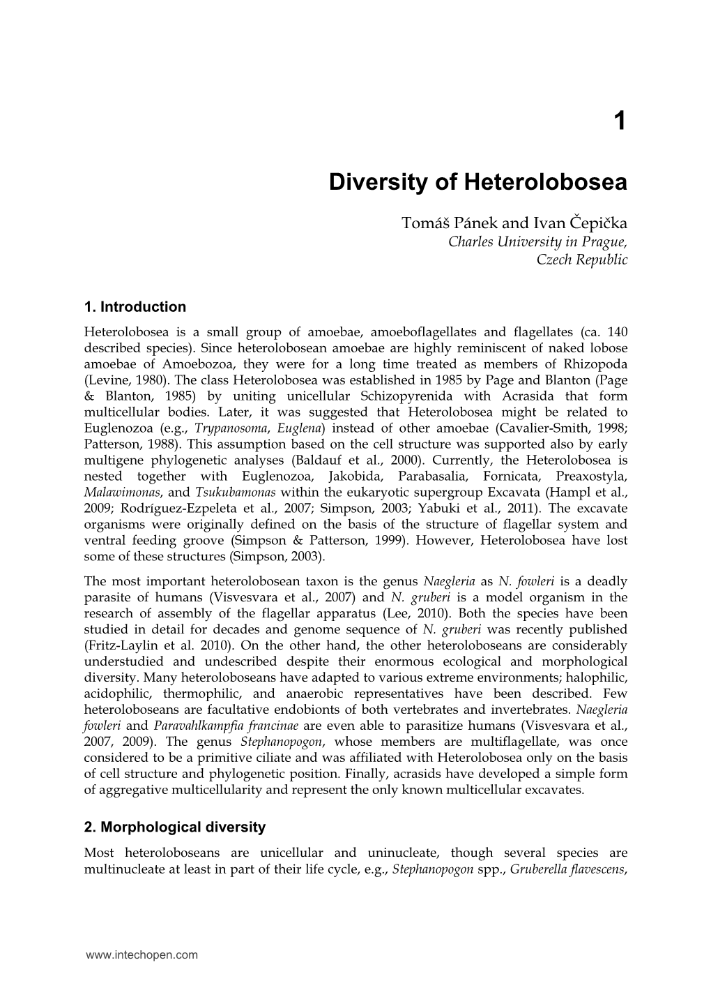 Diversity of Heterolobosea