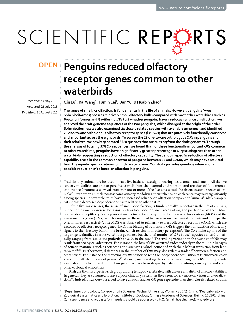 Penguins Reduced Olfactory Receptor Genes Common to Other Waterbirds