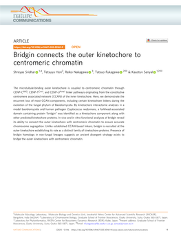 Bridgin Connects the Outer Kinetochore to Centromeric Chromatin ✉ ✉ Shreyas Sridhar 1,4, Tetsuya Hori2, Reiko Nakagawa 3, Tatsuo Fukagawa 2 & Kaustuv Sanyal 1,2