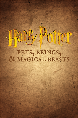 Harry Potter Magical Creatures