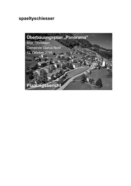 Spaeltyschiesser Überbauungsplan „Panorama“ Planungsbericht
