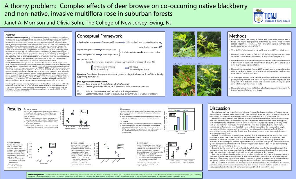 Rubus Allegheniensis Has More Similar Cover Under Lower and Higher Deer Pressure