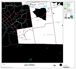 Census Tract Outline Map (Census 2000