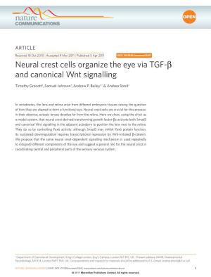 Neural Crest Cells Organize the Eye Via TGF-Β and Canonical Wnt Signalling