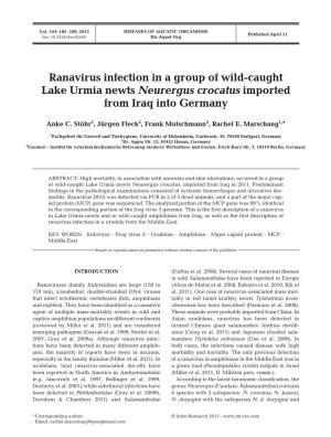 Ranavirus Infection in a Group of Wild-Caught Lake Urmia Newts Neurergus Crocatus Imported from Iraq Into Germany
