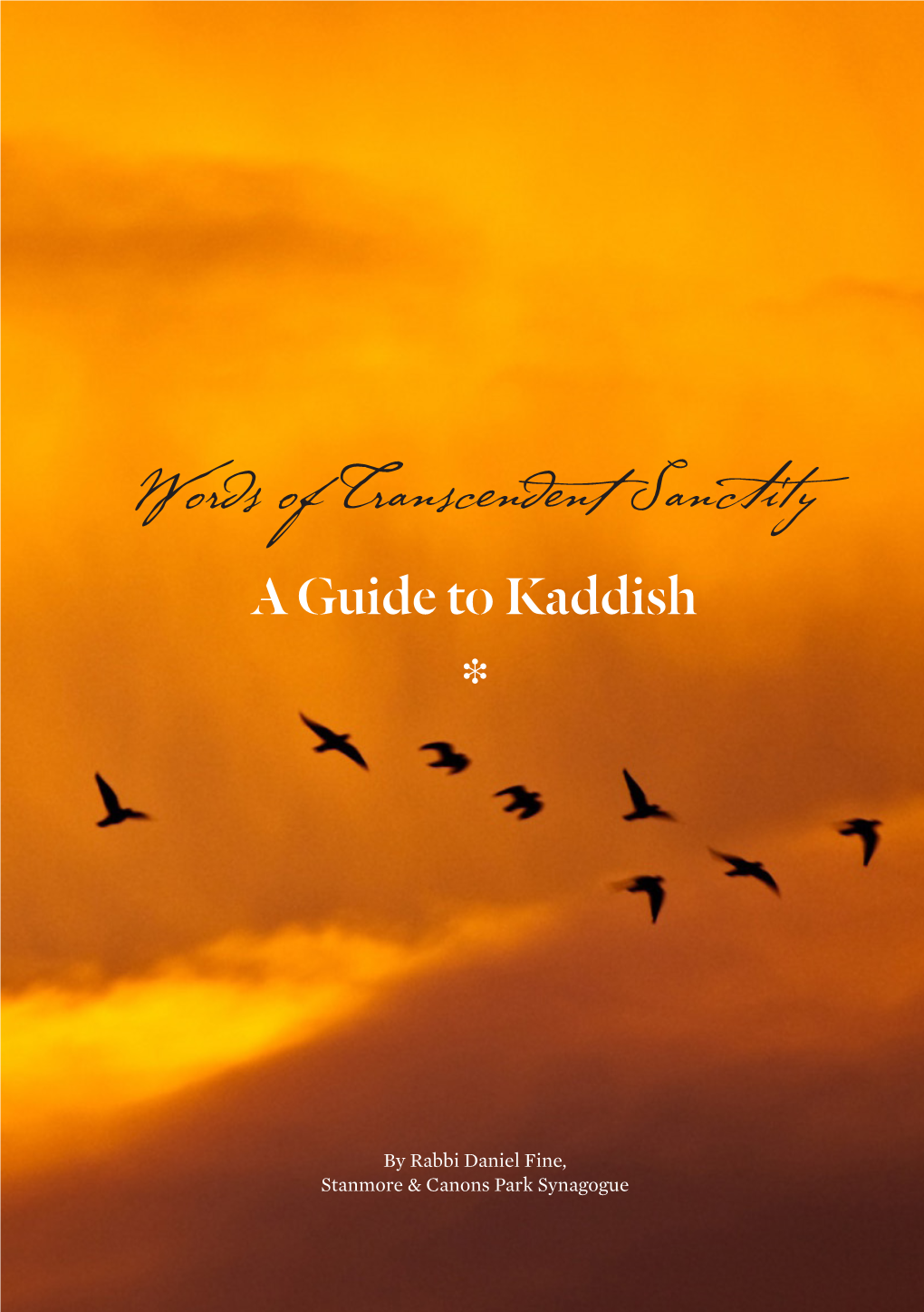 Words of Transcendent Sanctity a Guide to Kaddish ❉