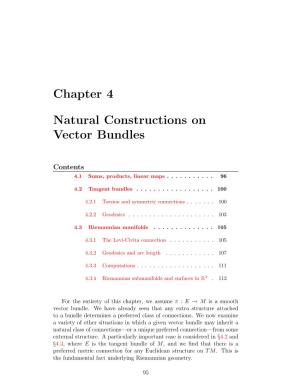 Chapter 4 Natural Constructions on Vector Bundles