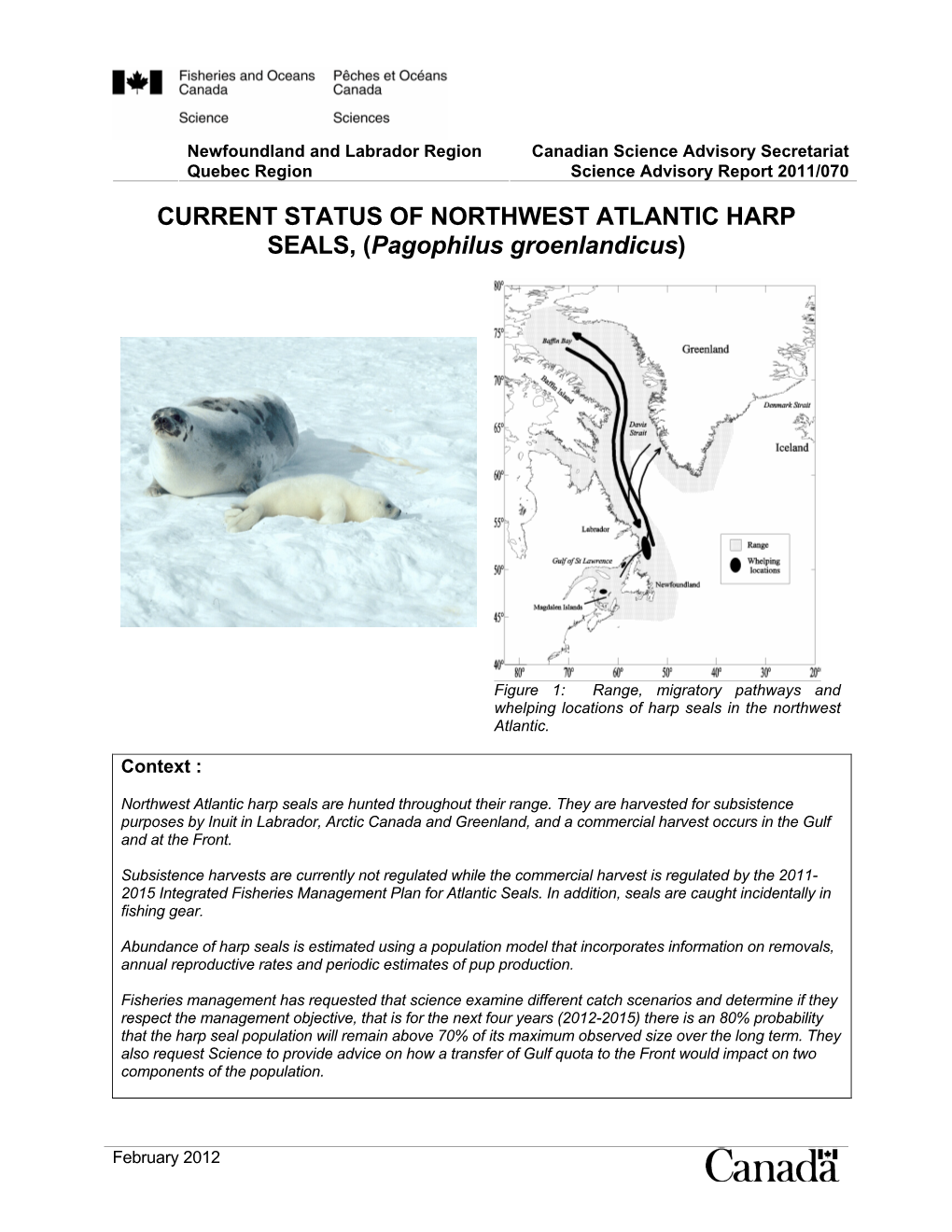 CURRENT STATUS of NORTHWEST ATLANTIC HARP SEALS, (Pagophilus Groenlandicus)