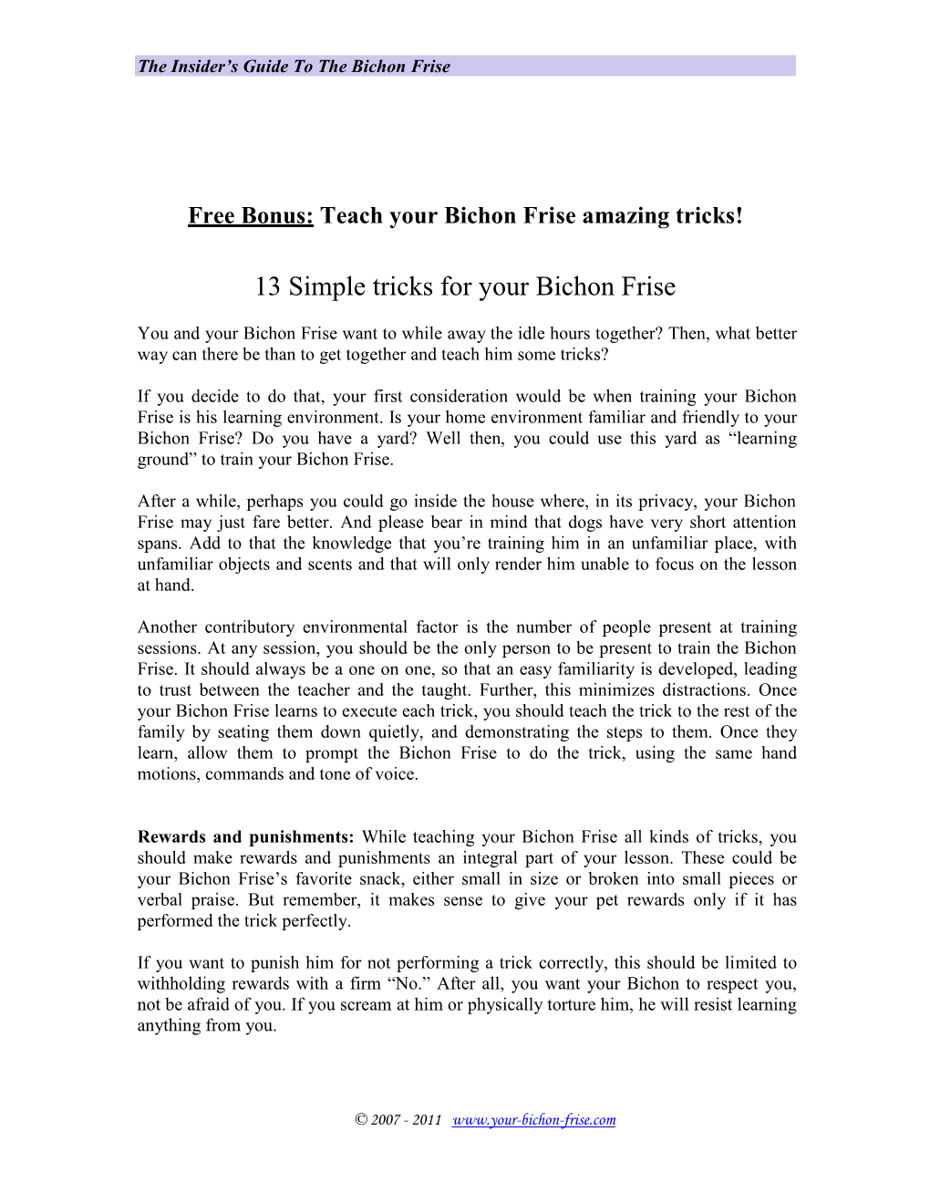 13 Simple Tricks for Your Bichon Frise