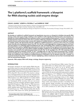 A Blueprint for RNA-Cleaving Nucleic Acid Enzyme Design