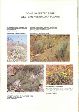 Western Australian Plants Some Gazetted Rare