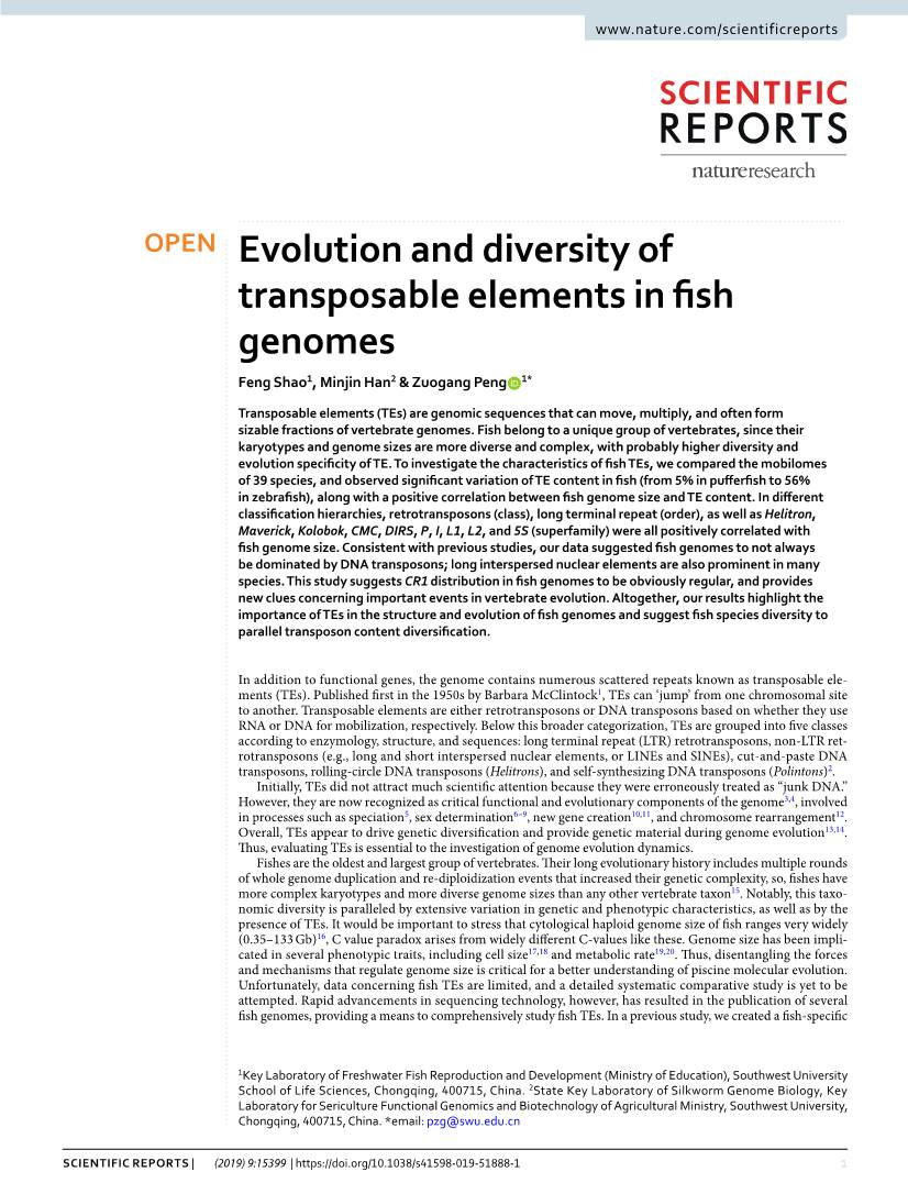 Evolution and Diversity of Transposable Elements in Fish Genomes