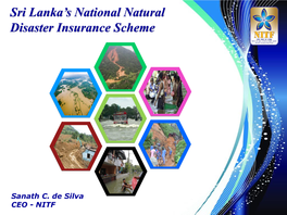 Natural Disaster Insurance Scheme