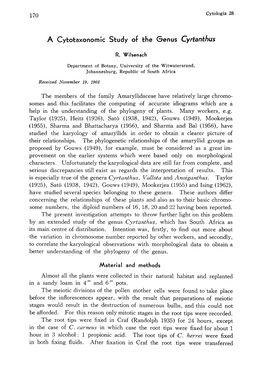 A Cytotaxonomic Study of the Genus Cyrtanthus