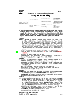 106 Consigned by Paramount Sales, Agent VI Gray Or Roan Filly