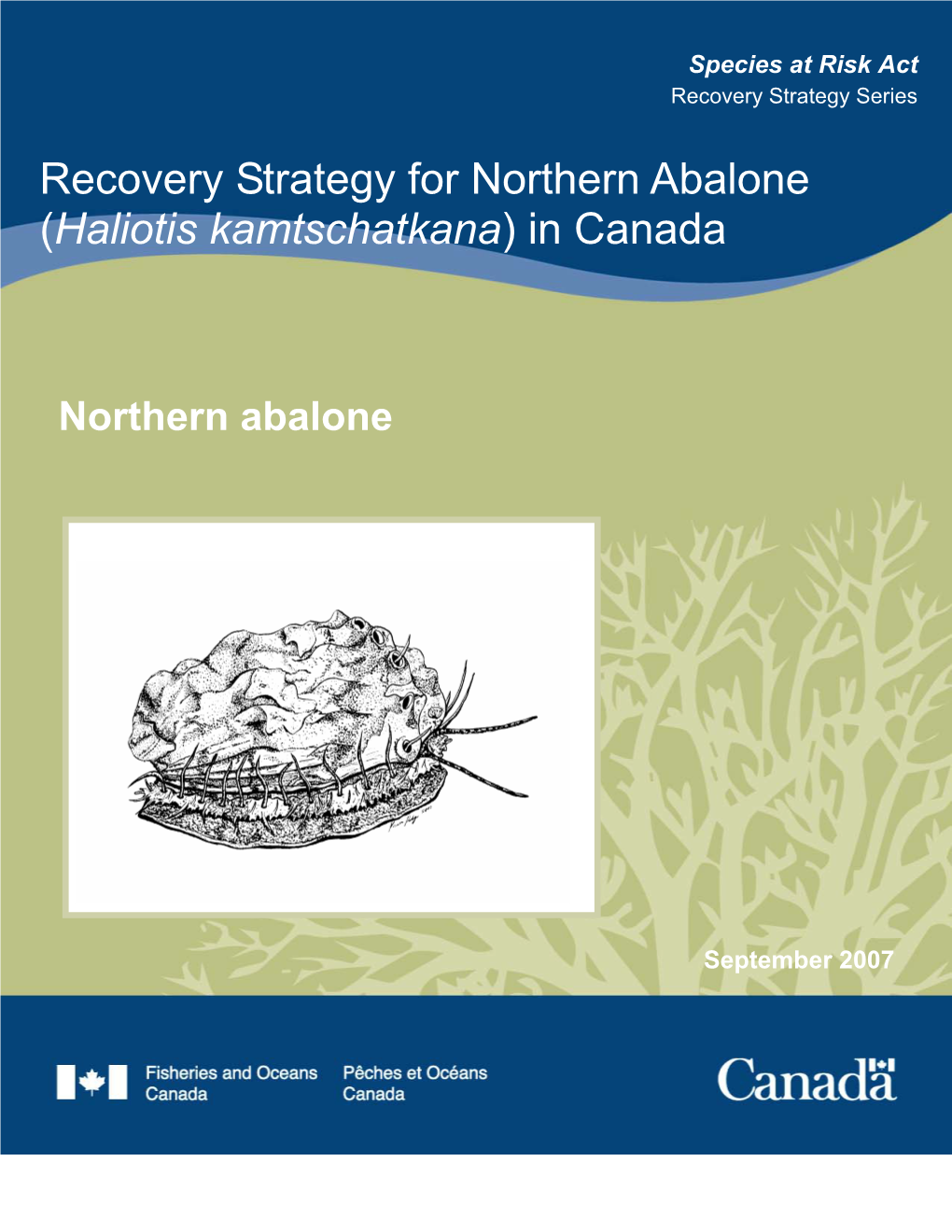 Recovery Strategy for Northern Abalone (Haliotis Kamtschatkana) in Canada