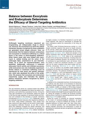 Balance Between Exocytosis and Endocytosis Determines the Efﬁcacy of Sterol-Targeting Antibiotics