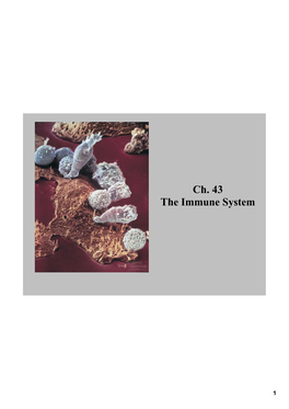Ch. 43 the Immune System