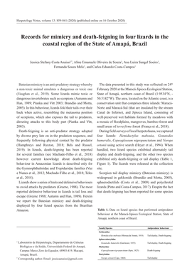 Records for Mimicry and Death-Feigning in Four Lizards in the Coastal Region of the State of Amapá, Brazil