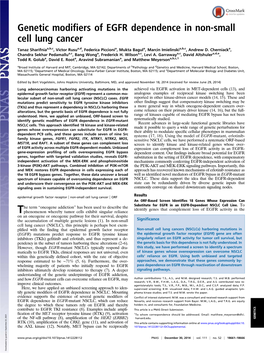 Genetic Modifiers of EGFR Dependence in Non-Small Cell Lung Cancer