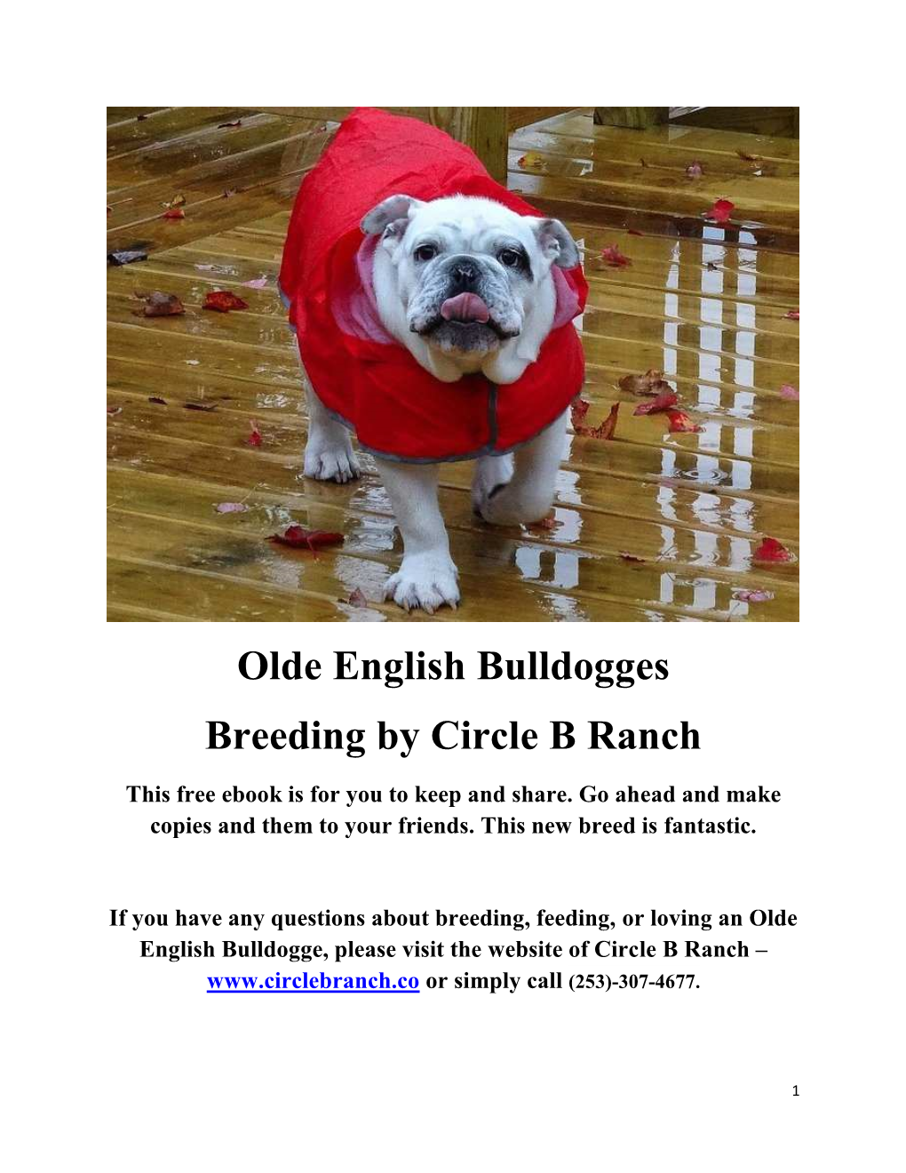 Olde English Bulldogges Free Ebook