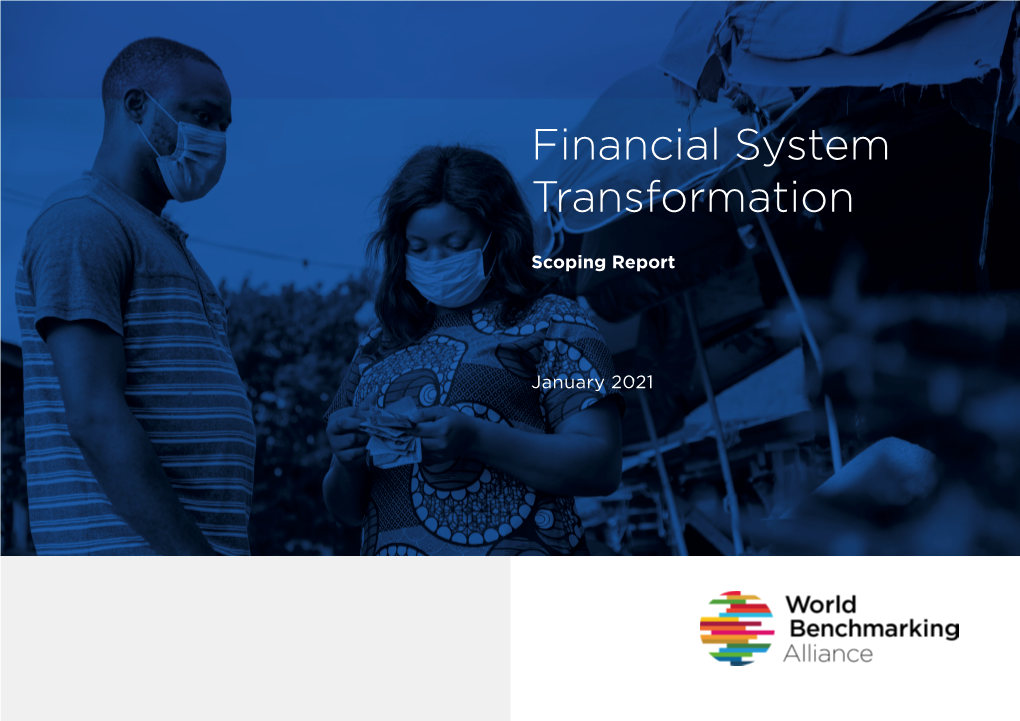 Financial System Transformation Scoping Report