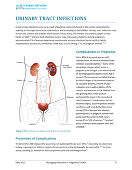 Urinary Tract Infections