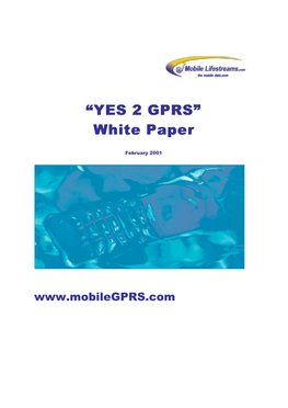 YES 2 GPRS” White Paper