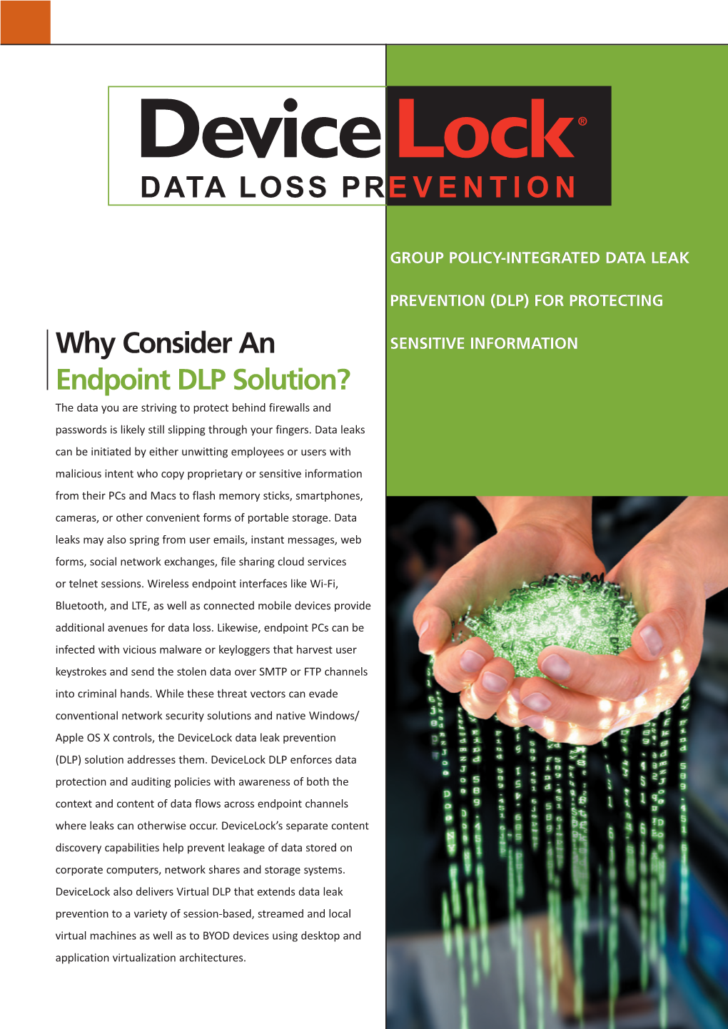 Why Consider an Endpoint DLP Solution? DATA LOSS PREVENTION