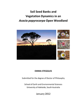 Soil Seed Banks and Vegetation Dynamics in an Acacia Papyrocarpa Open Woodland