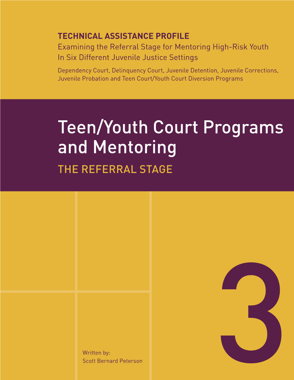 Teen/Youth Court Programs and Mentoring the REFERRAL STAGE