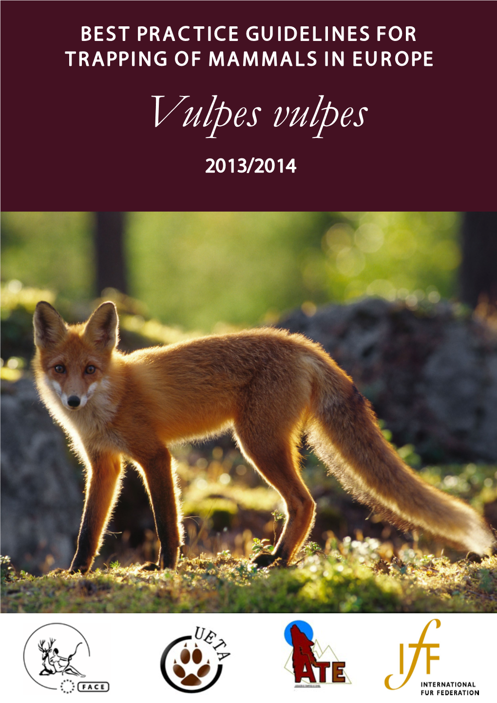 Vulpes Vulpes 2013/2014