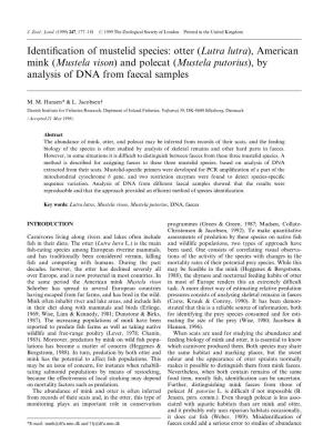 Otter (Lutra Lutra), American Mink (Mustela Vison) and Polecat (Mustela Putorius), by Analysis of DNA from Faecal Samples