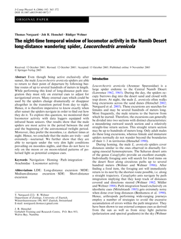 The Night-Time Temporal Window of Locomotor Activity in the Namib Desert Long-Distance Wandering Spider, Leucorchestris Arenicola