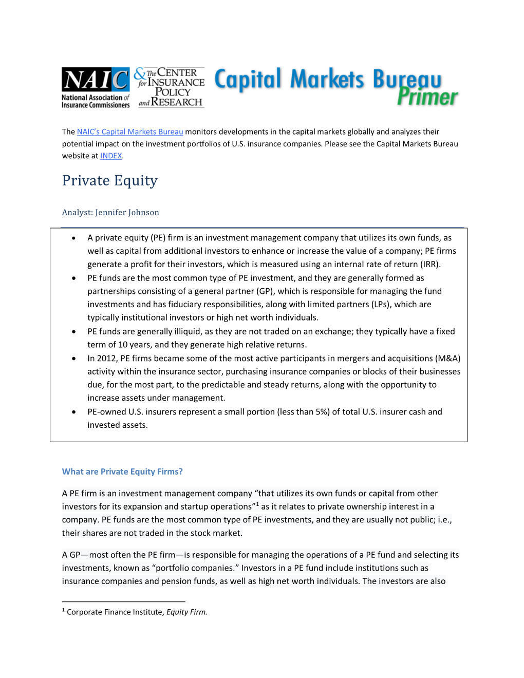 Capital-Markets-Primer-Private-Equity-Investment.Pdf