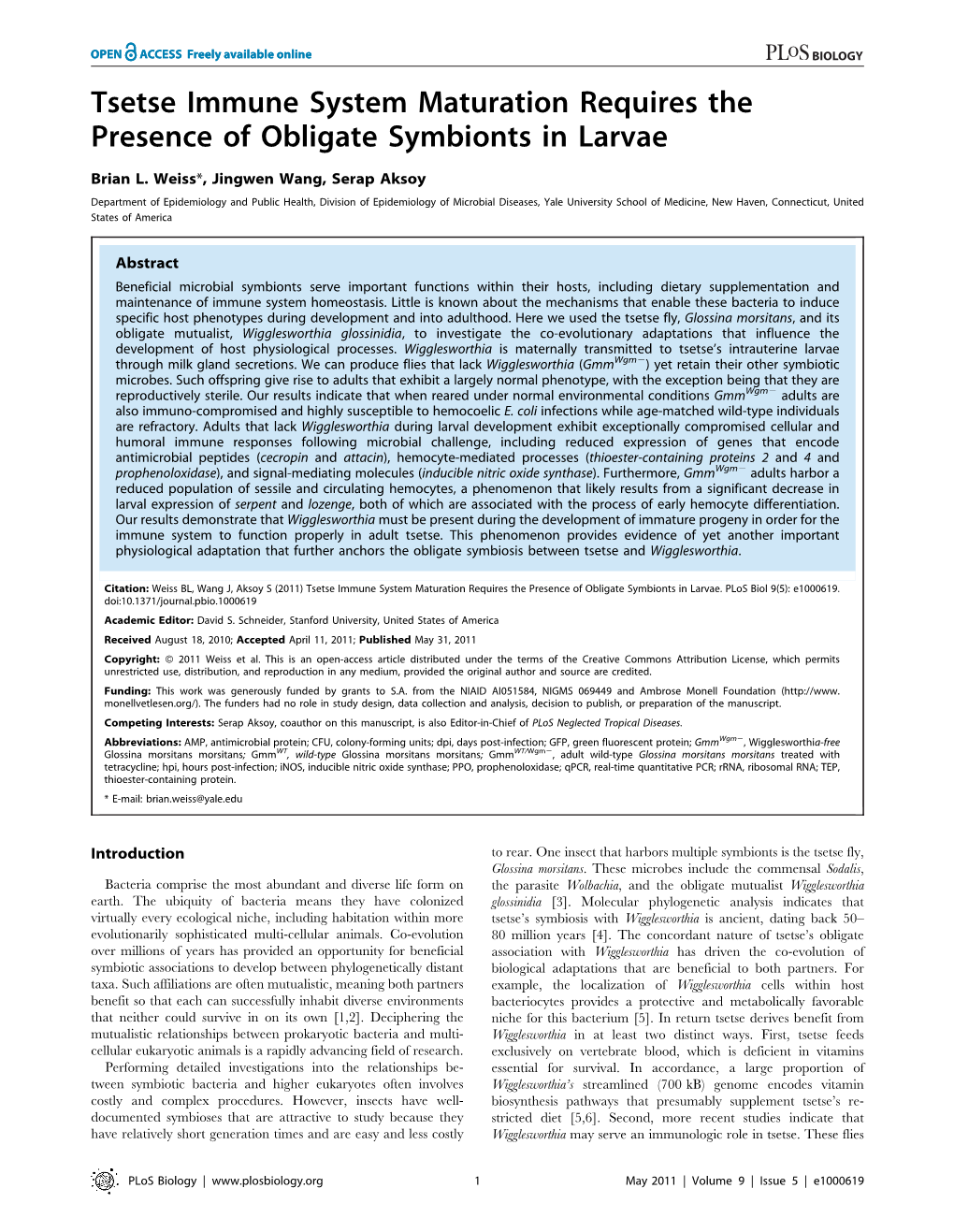 Tsetse Immune System Maturation Requires the Presence of Obligate Symbionts in Larvae