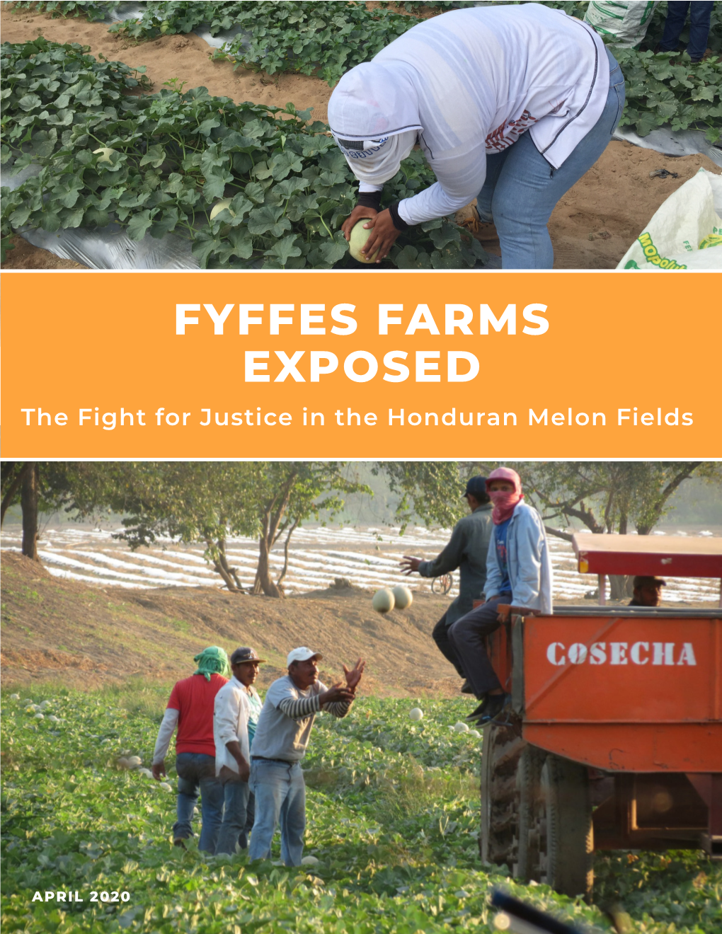 FYFFES FARMS EXPOSED the Fight for Justice in the Honduran Melon Fields