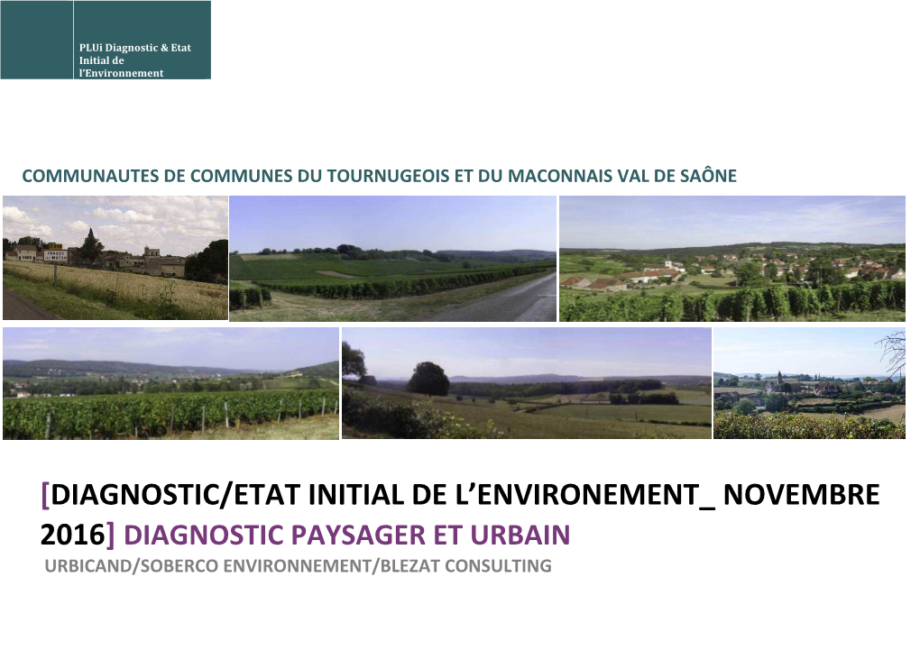 [Diagnostic/Etat Initial De L'environement Novembre