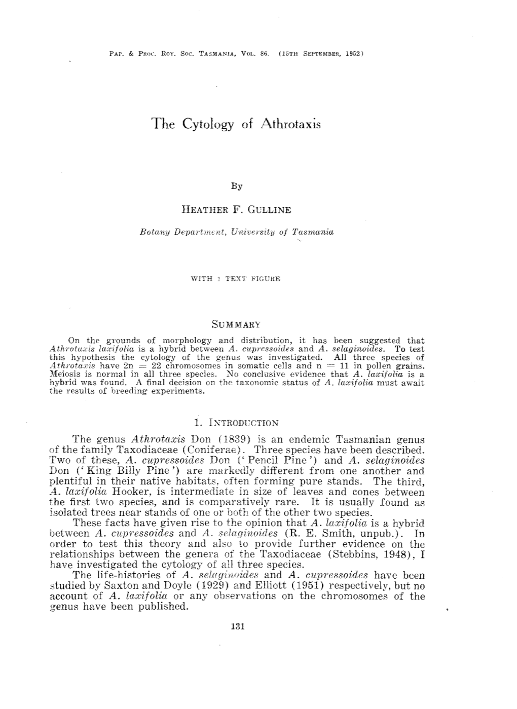 The Cytology of Athrotaxis