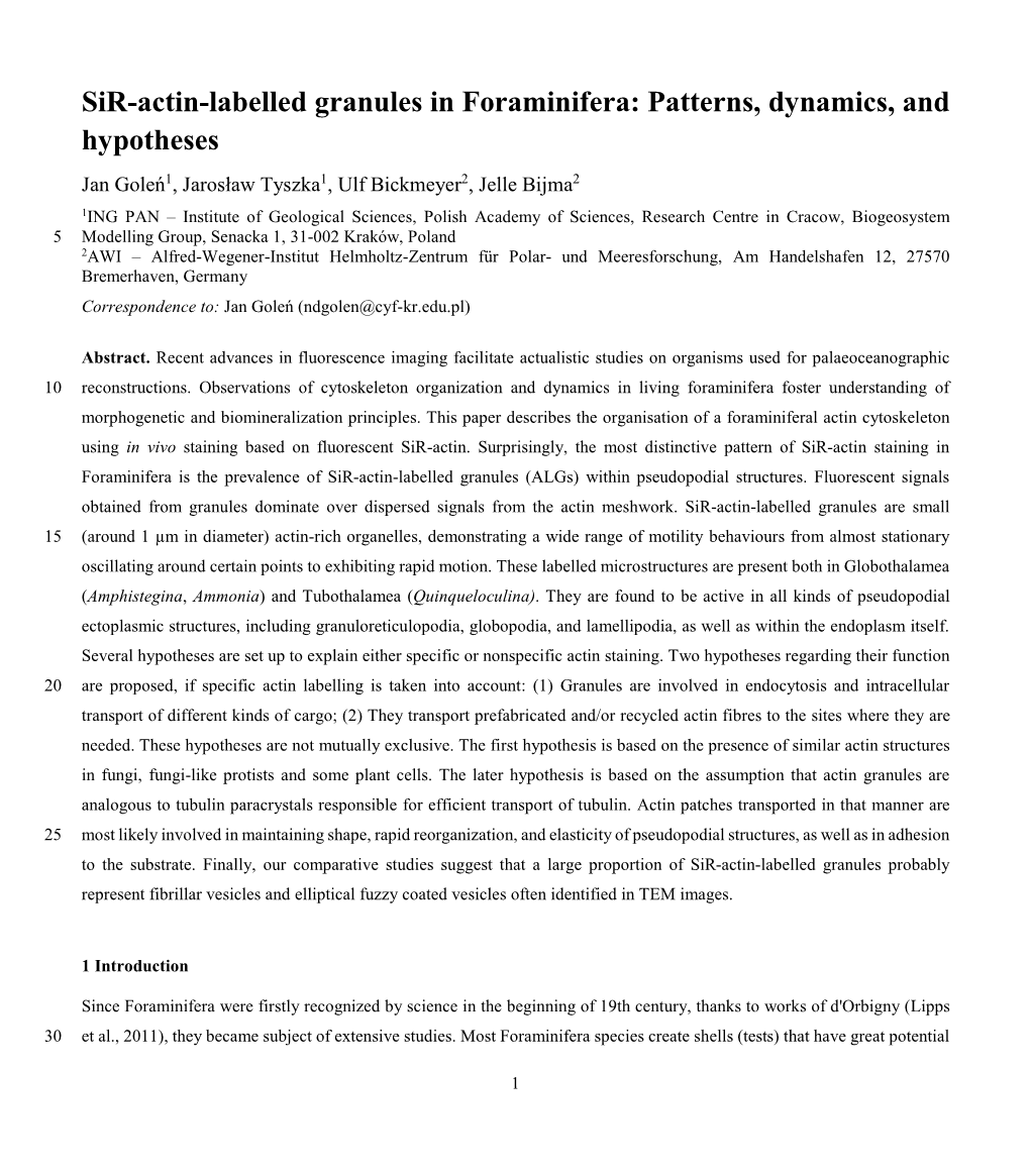 Sir-Actin-Labelled Granules in Foraminifera