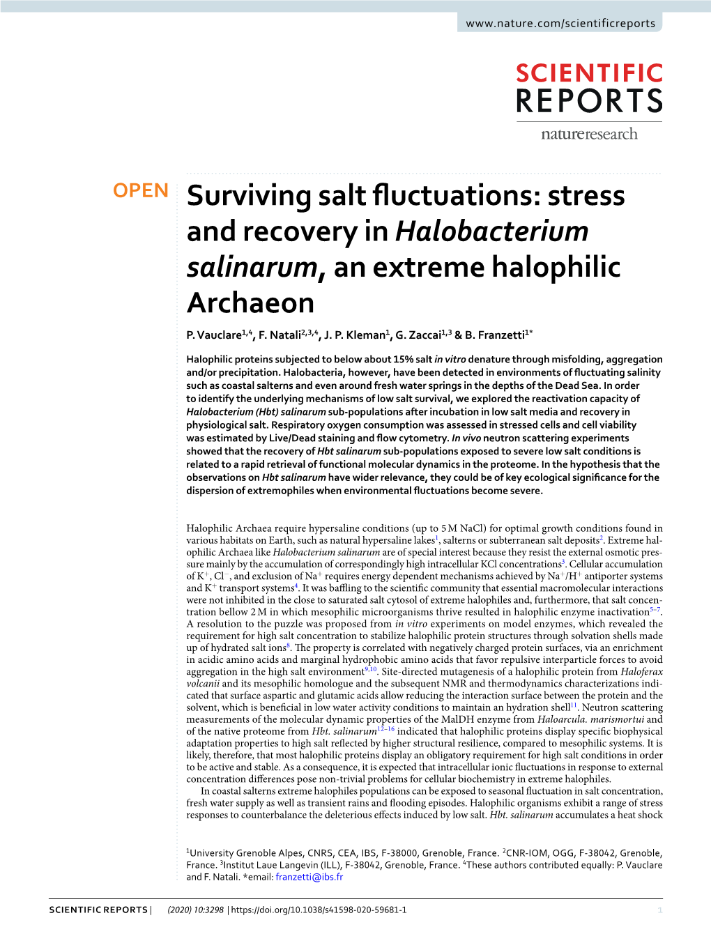 Surviving Salt Fluctuations: Stress and Recovery in Halobacterium Salinarum, an Extreme Halophilic Archaeon