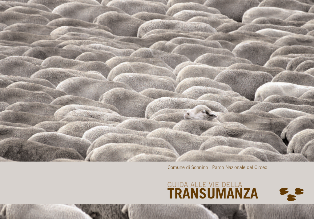 Guida Alle Vie Della Transumanza Contenuti